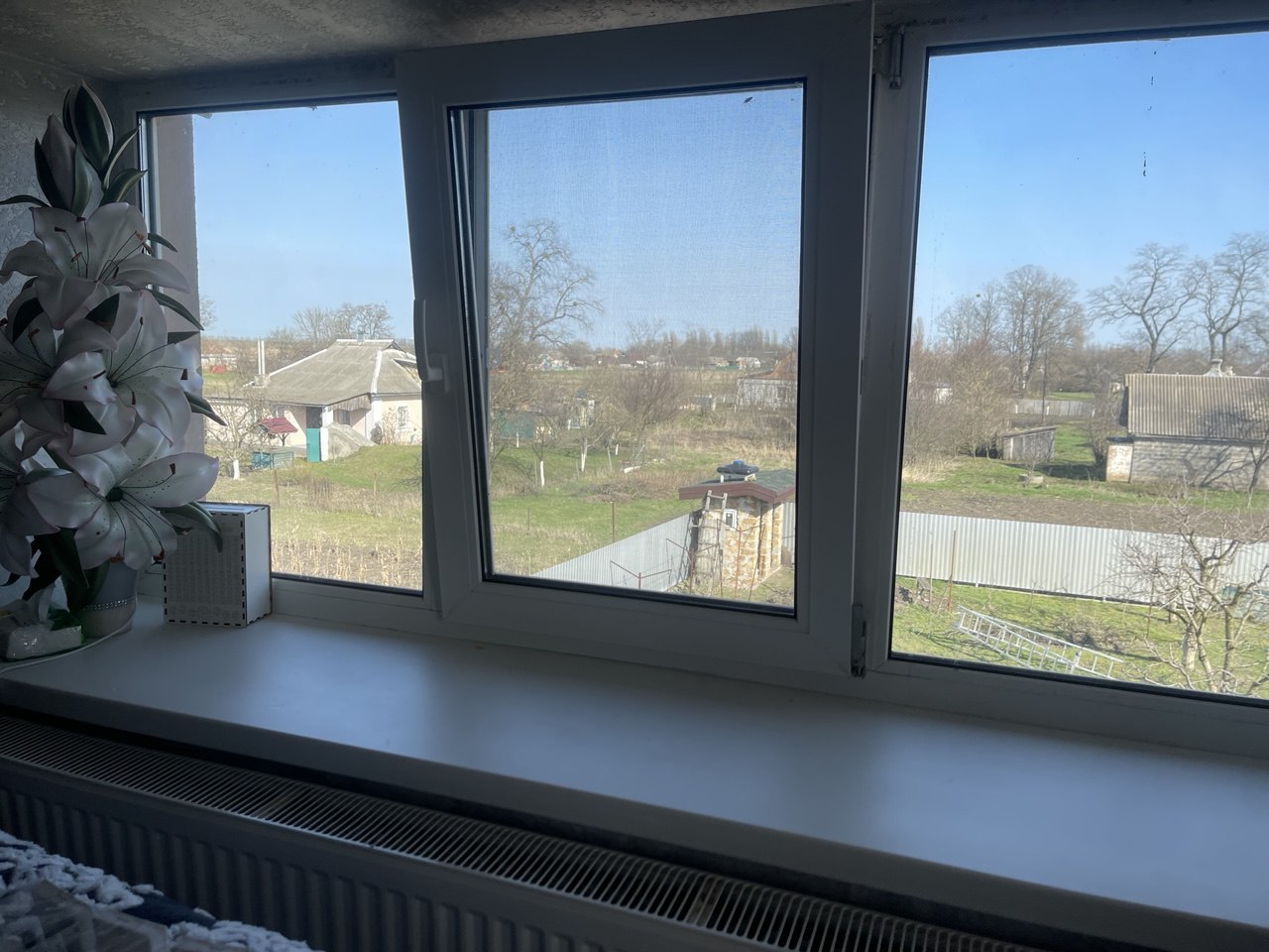 Вікна з москітними сітками