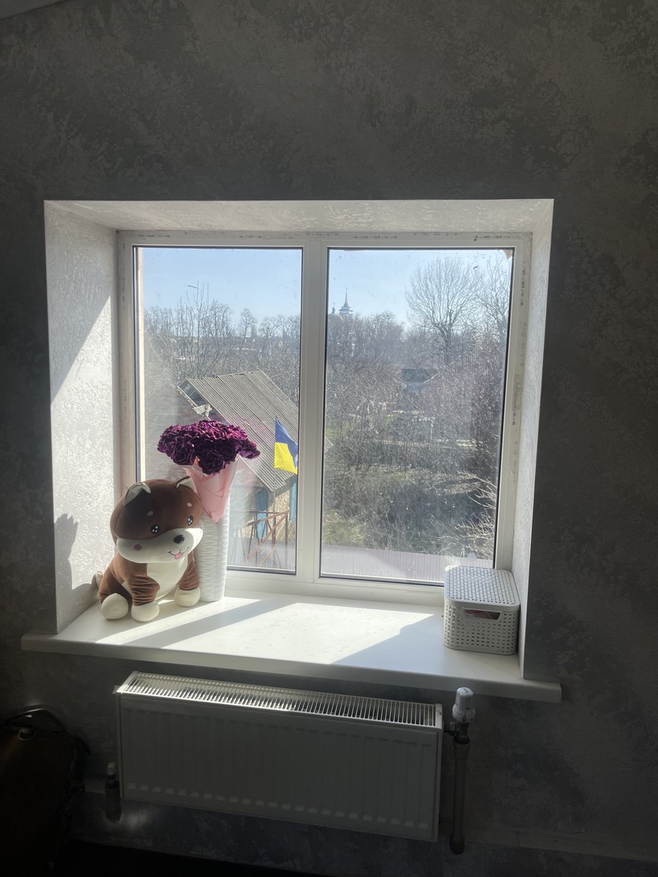 Сучасні вікна